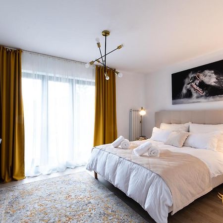 בראשוב Quibio Apart Terrace מראה חיצוני תמונה