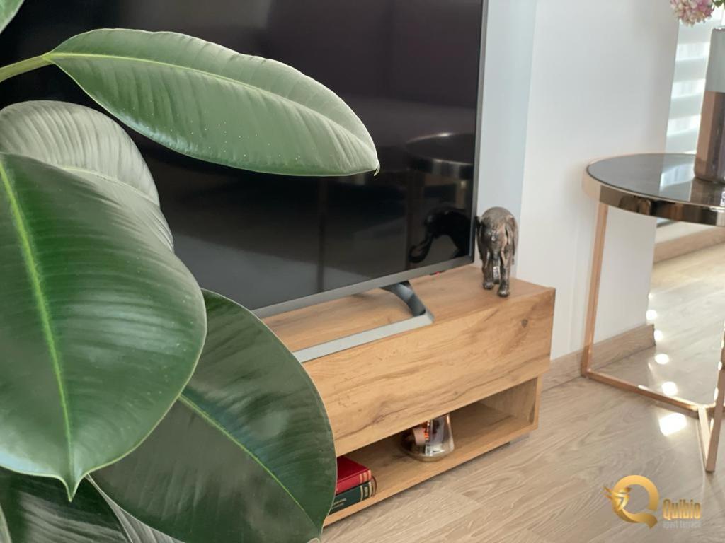 בראשוב Quibio Apart Terrace מראה חיצוני תמונה