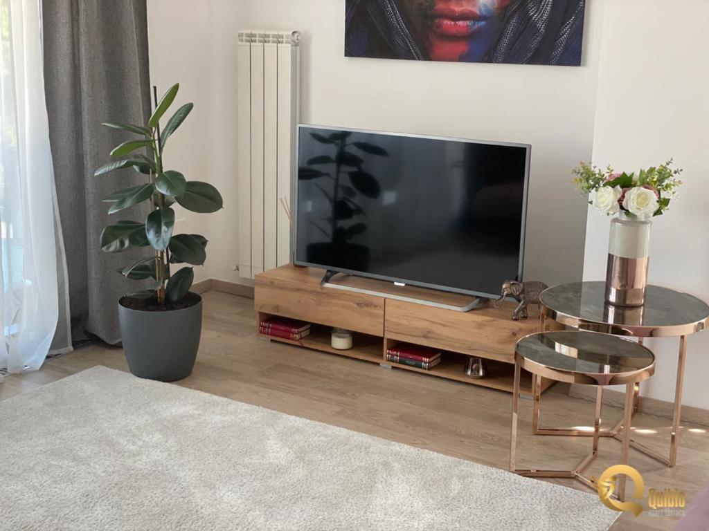 בראשוב Quibio Apart Terrace מראה חיצוני תמונה